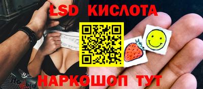 дживик Кандалакша