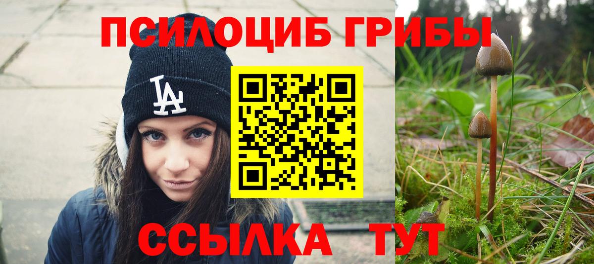 Псилоцибиновые грибы Psilocybine cubensis Шали